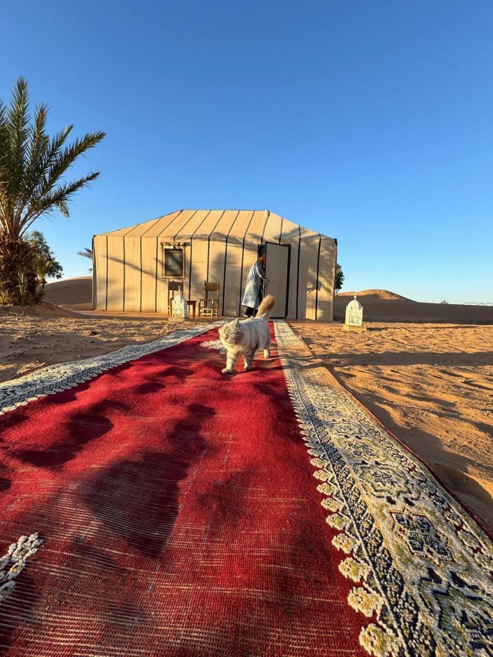 Nomad Camp